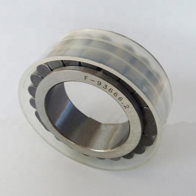 F93666.2 Full Complement Cylindrical Roller Bearing